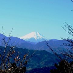 ふじいさむさん