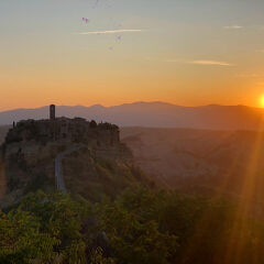孤独な人々さん