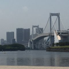 ブレーサーさん