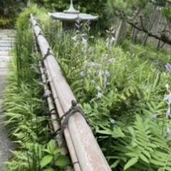 風薫る