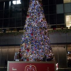 人生の終わりにさん