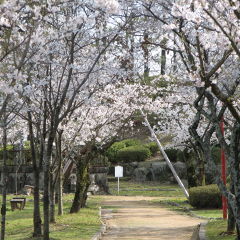 いけのうえさん