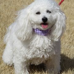 縁　直次郎さん