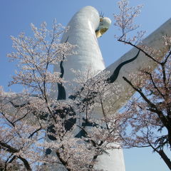 ＡＣＡＮＧＡＮＡさん