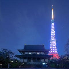 ごろちゃんさん