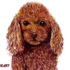 ☆さくらさん