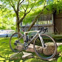 わたあめ117さん