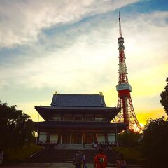 ごろちゃんさん