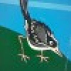 鳥のようにさん