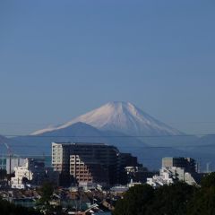 まるえさん