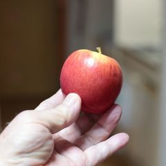 誠