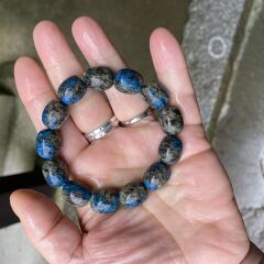 カモメのふーさんさん