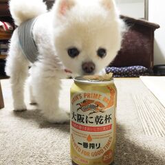 さっちょこさん