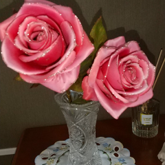 きょうこひめさん