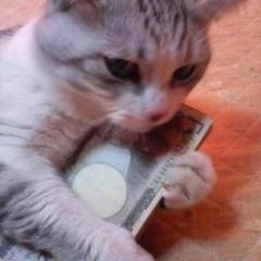 Mさん