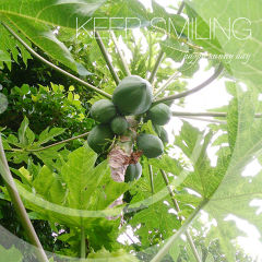 くろうさぎの夢