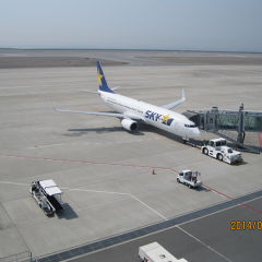 ふきのとうさん